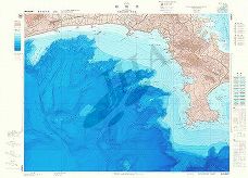 相模湾 (海底地形図)