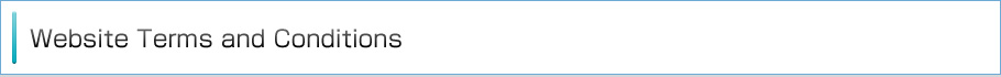 Website Terms and Conditions