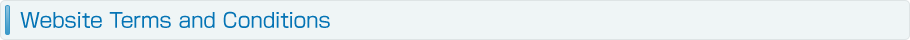 Website Terms and Conditions