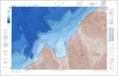 沿岸の海の基本図