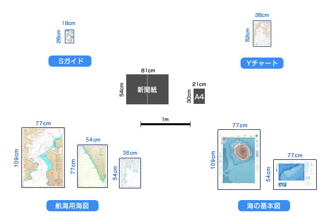 大きさ