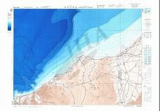 糸魚川東部 (海底地形図)