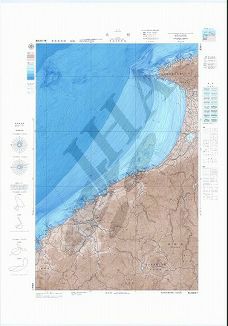 大社 (海底地形図)