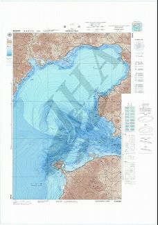 橘湾 (海底地形図)