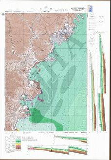 延岡 (海底地質構造図)